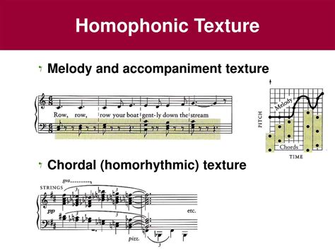 Homophonic Music Definition and Its Multifaceted Nature